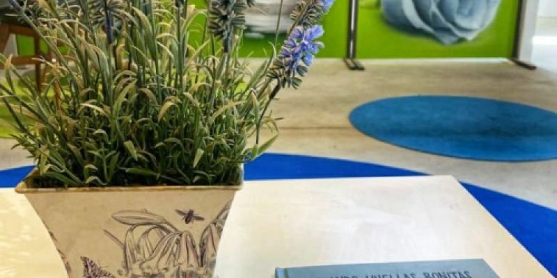 Tanatorio para animales de compañía Tanatorio para animales de compañía