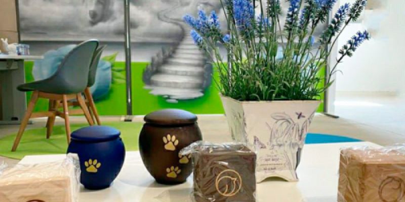 Recuerdo de mascotas en Paseo a las nubes Recuerdo de mascotas en Paseo a las nubes