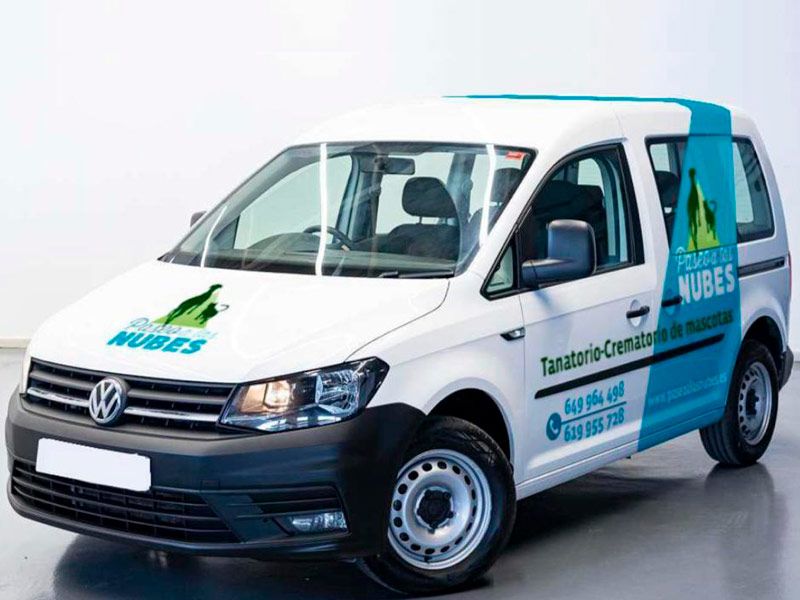 Recogida de animales Paseo a las nubes Recogida de animales Paseo a las nubes