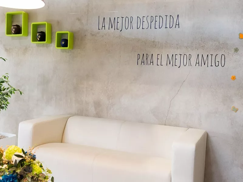 Sala de velatorio de mascotas en Burgos Sala de velatorio de mascotas Paseo a las nubes en Burgos