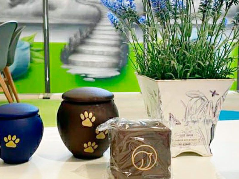 Entrega de cenizas de tu mascota en Burgos Urnas con cenizas de mascotas en Burgos